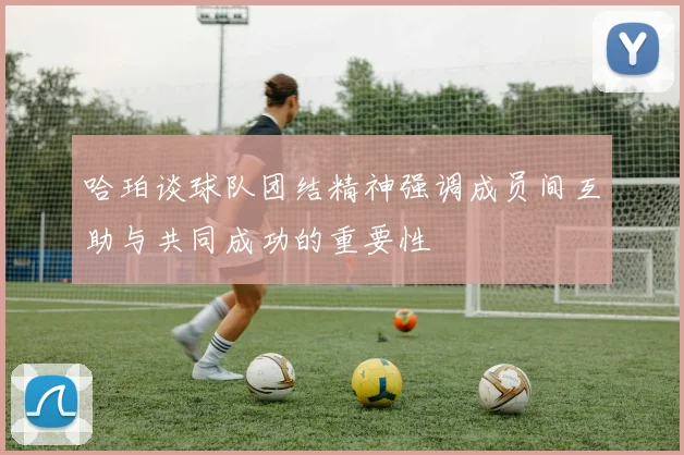 哈珀谈球队团结精神强调成员间互助与共同成功的重要性