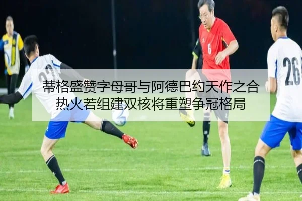 蒂格盛赞字母哥与阿德巴约天作之合 热火若组建双核将重塑争冠格局 | jiangnan